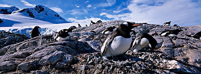 永劫无间X奥运冠军吕小军联动皮肤今日上线，新玩法武道争锋登场！